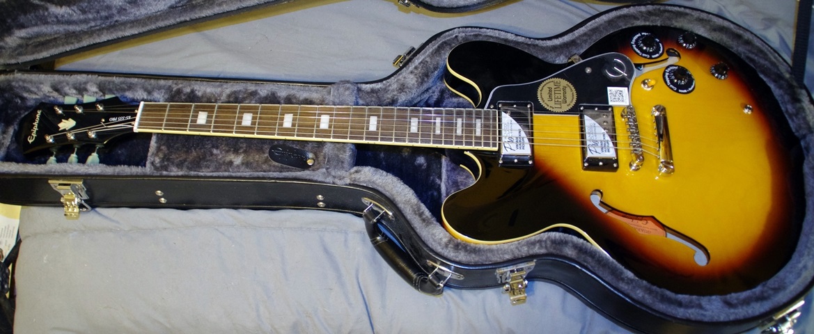 ES-335_pro_small.jpg